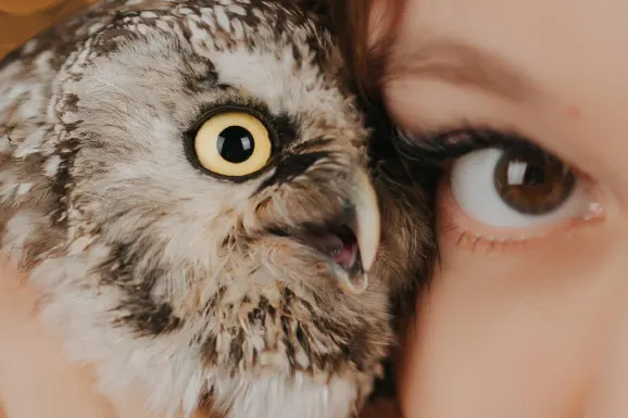 Бетитол Казино Поддръжка